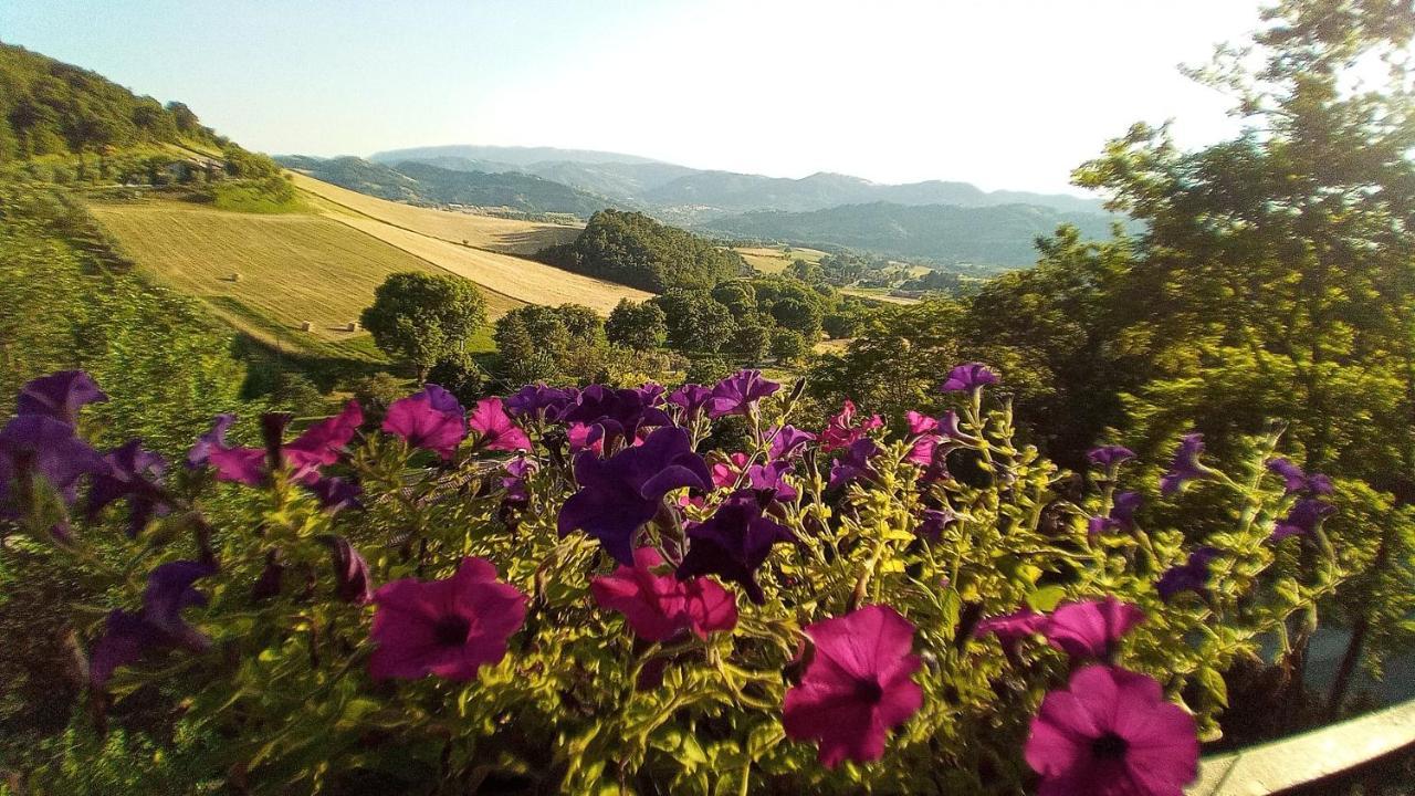 Вилла Agriturismo Le Francesche Ночера-Умбра Экстерьер фото